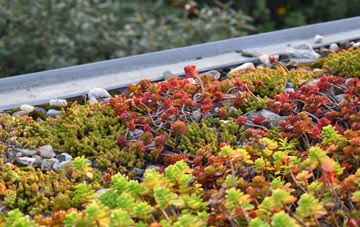the cost of West Stratton green roof installation