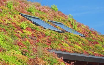 West Stratton living roof systems